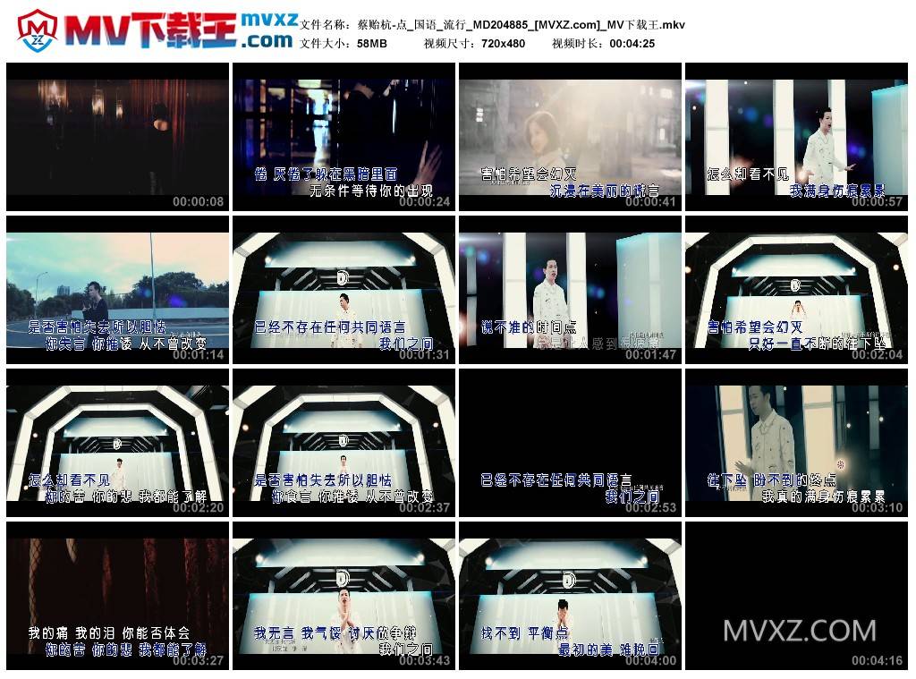 蔡贻杭-点_国语_流行_MD204885